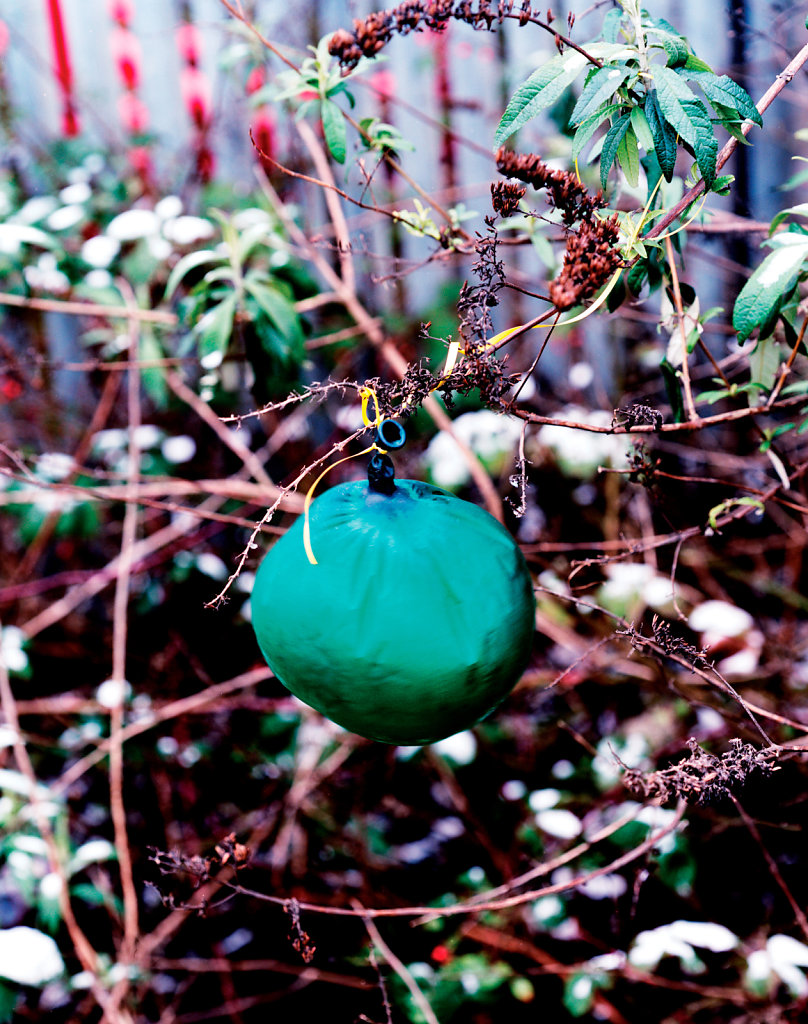 Hackney Wick, March 2013